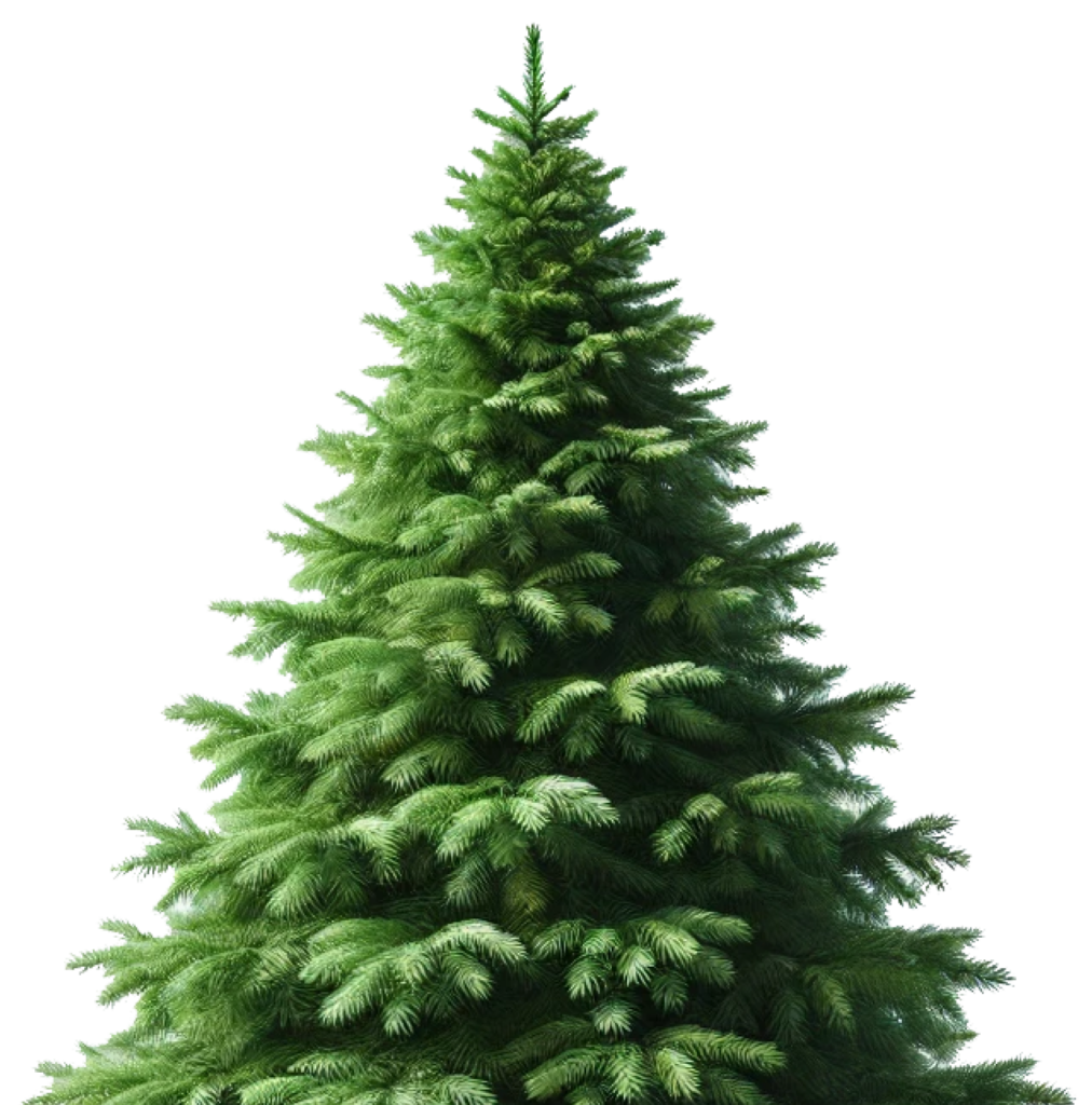 Choinki z dostawą do domu